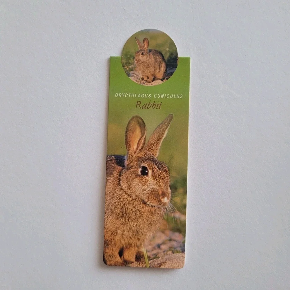 Cardmarks Bunny Rabbit Wild Animals Magnetic Magnet UK Company If #2407, Y2k 00s